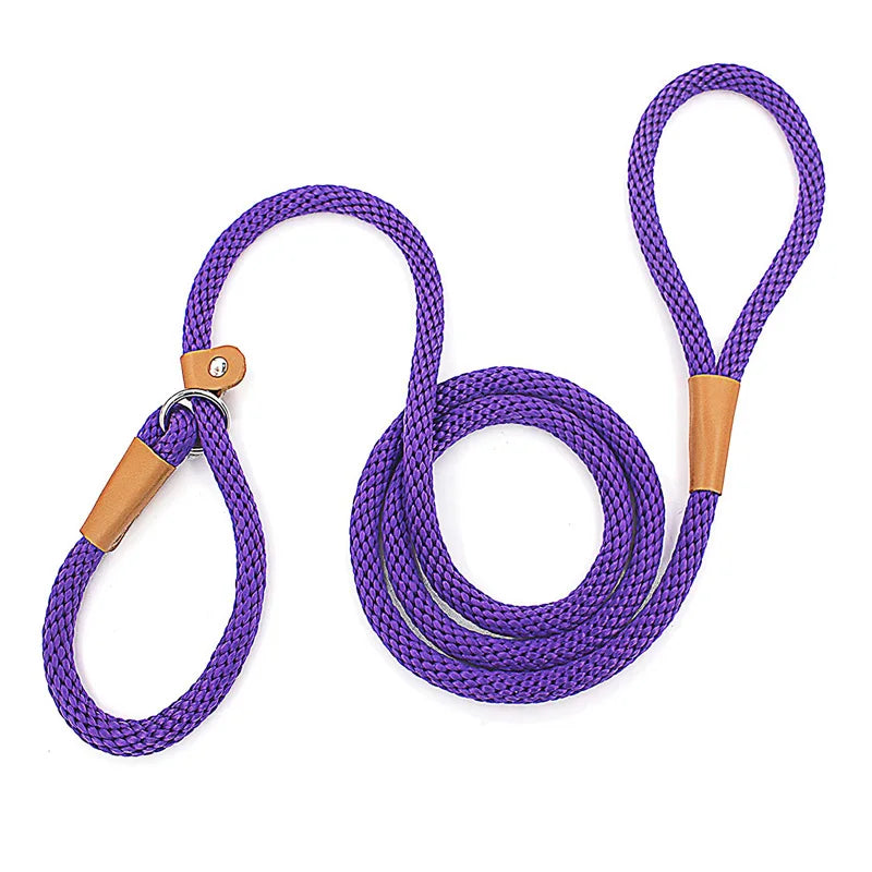 Dog Collar Slip Lead Dog Leash Nylon Solid Rope Leash Adjustable No Pull Training Dog Leash Medium and Large Dogs Pet Leashes