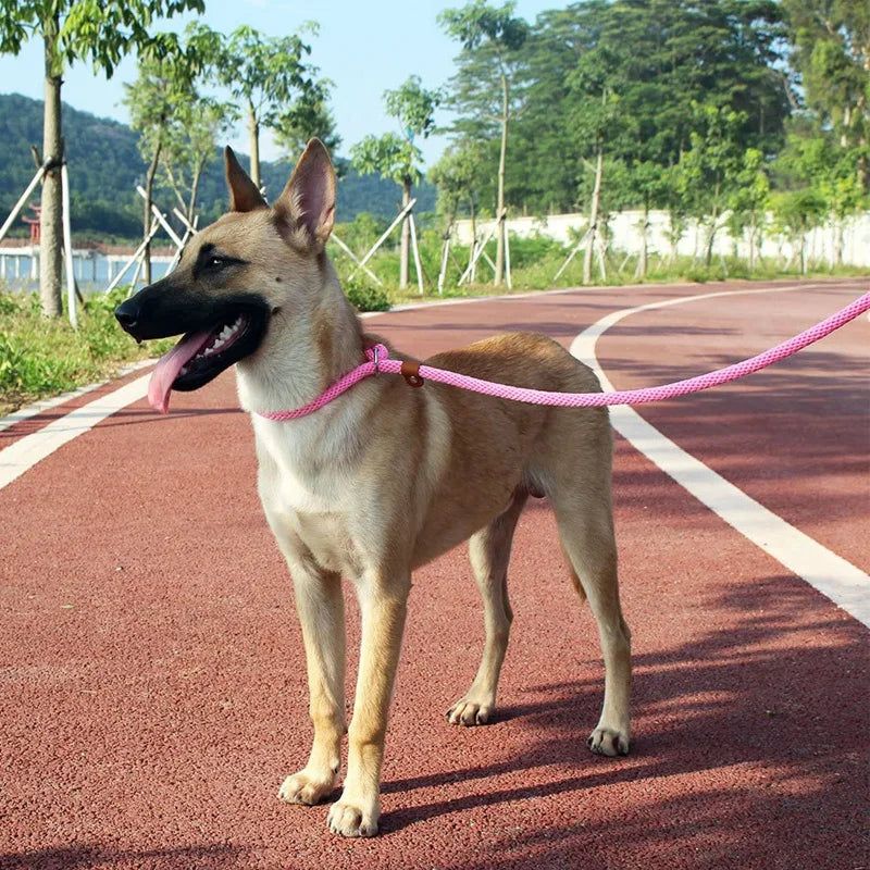 Dog Collar Slip Lead Dog Leash Nylon Solid Rope Leash Adjustable No Pull Training Dog Leash Medium and Large Dogs Pet Leashes