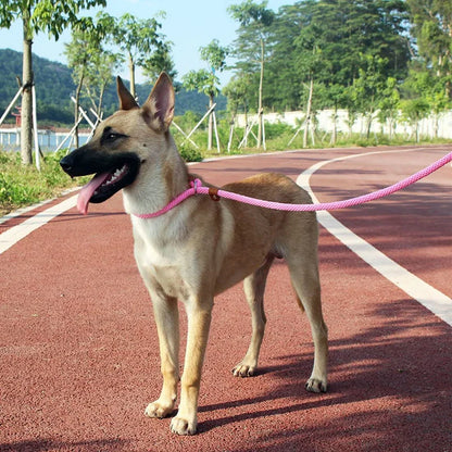 Dog Collar Slip Lead Dog Leash Nylon Solid Rope Leash Adjustable No Pull Training Dog Leash Medium and Large Dogs Pet Leashes