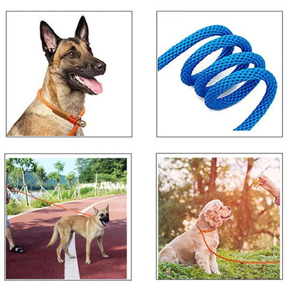 Dog Collar Slip Lead Dog Leash Nylon Solid Rope Leash Adjustable No Pull Training Dog Leash Medium and Large Dogs Pet Leashes